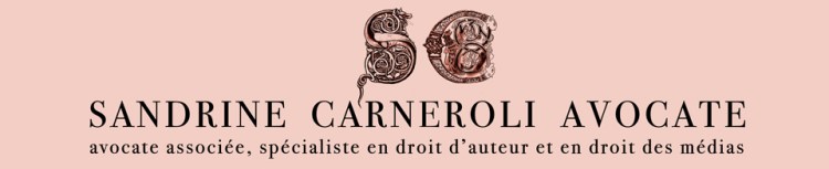 SANDRINE CARNEROLI
Avocate associée, spécialiste en droit d’auteur et en droit des médias, Bruxelles